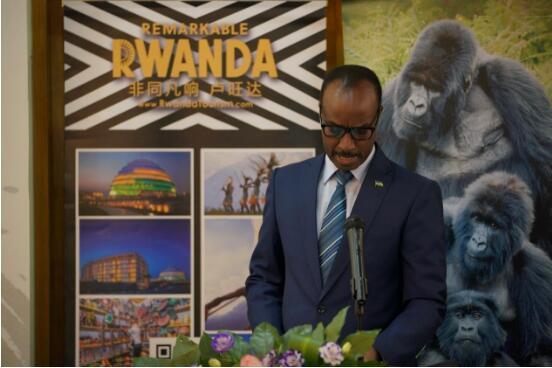 卢旺达大使馆联合侣行、西瓜视频举办“卢旺达山地大猩猩画展”