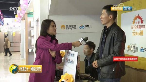 苏宁发力县镇市场 双十一零售云销量增长3308%