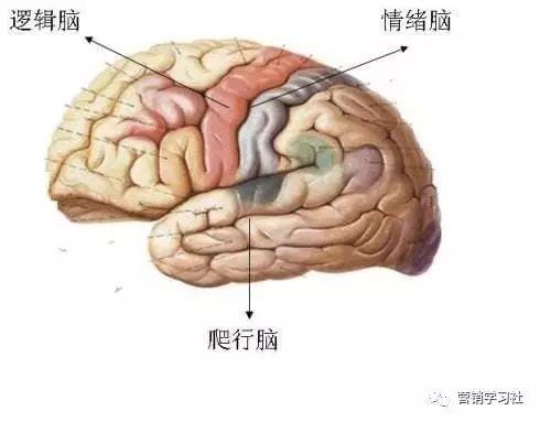 【吾老湿】营销文案写作:懂策略、说人话、吸眼球、有人味、促销售 【吾老湿】营销文案写作:懂策略、说人话、吸眼球、有人味、促销售
