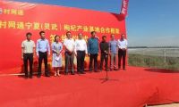 村网通宁夏枸杞产业基地签约仪式在灵武市举行