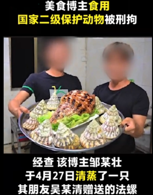 警方通報美食博主食用二級保護動物法螺網友去年就吃過