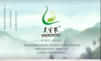 勐海吴觉农茶业携手HiShop海商，“小茶叶”到“大茶业”的转型之路