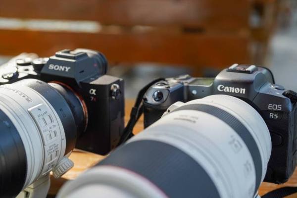 谁更适合拍生态eosr5与a7r4野生动物园游记