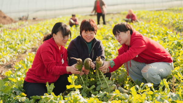 科技小院、新青年农人和拼多多——乡村振兴路上的时代新组合-广州seo