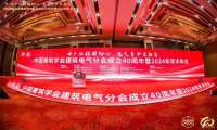 中国建筑学会电气分会2024学术年会召开，良信荣获“最受欢迎电气供应商”殊荣 