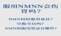 服用NMN伤胃吗？空腹能服用吗？W+端粒塔为你详解NMN服用禁忌