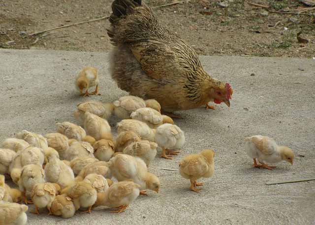 爆款产品流量的合理利用：如何让关联销售更有诱惑