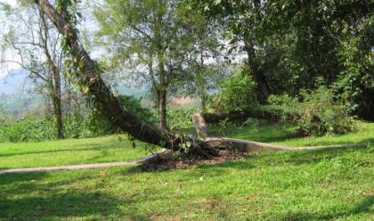 内容为王不是抢独家 形成内容策略是关键