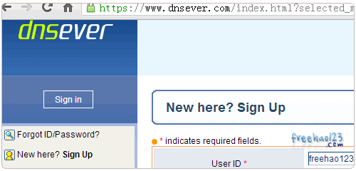 DNSEver注册账号