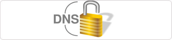 六个国外免费DNS服务-做英文与外贸网站必备工具