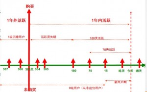 会员生命周期