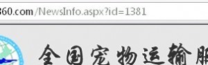 网站不收录内页，SEO沙盒期过长，宠物网站应该这么做优化
